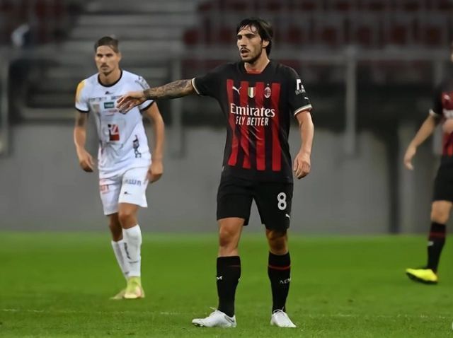 贝洛蒂的梅 贝洛蒂的梅