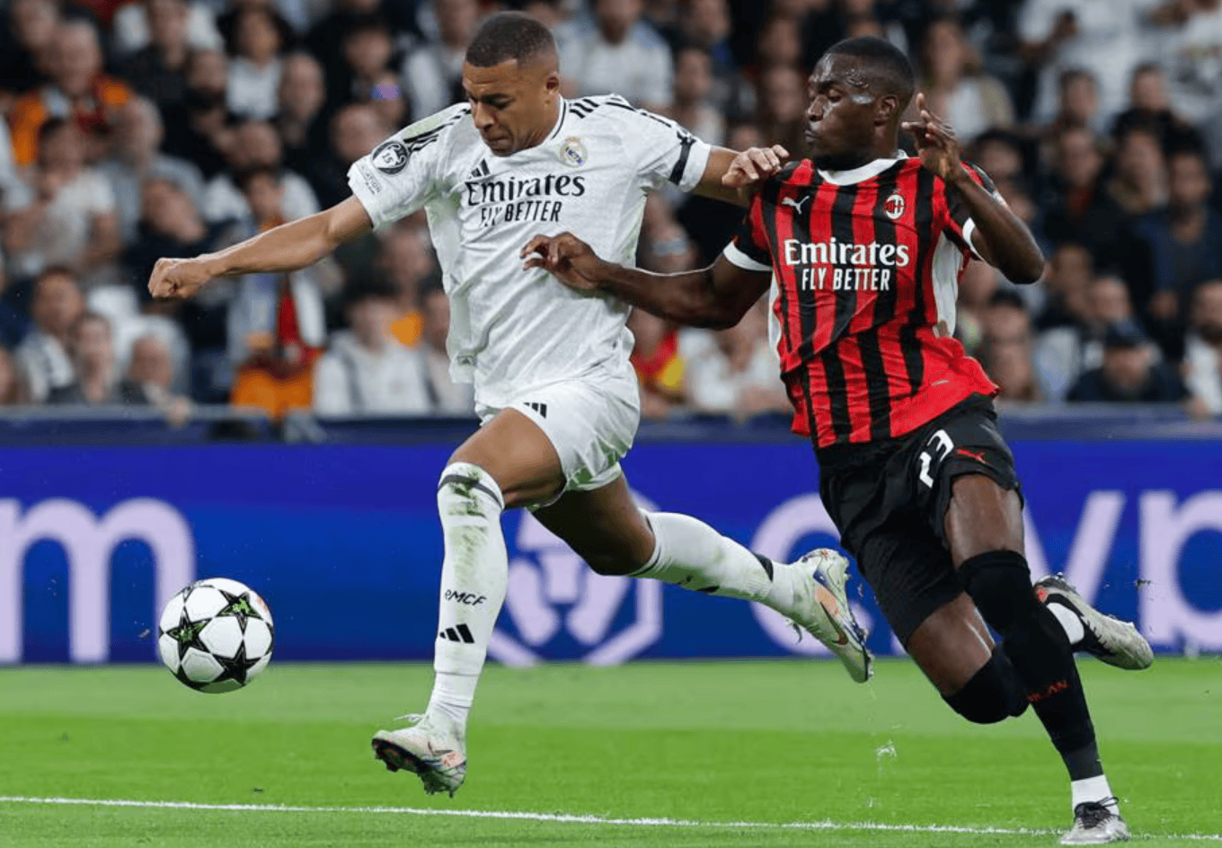 对球迷和选 对球迷和选